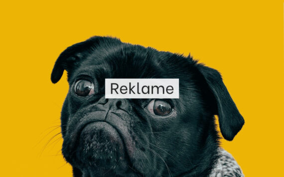 Kornfrit hundefoder – en naturlig løsning for din hund: Bedre fordøjelse og færre allergier