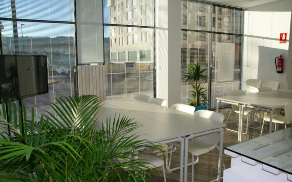 Sådan indretter du et funktionelt og hyggeligt erhvervskontor