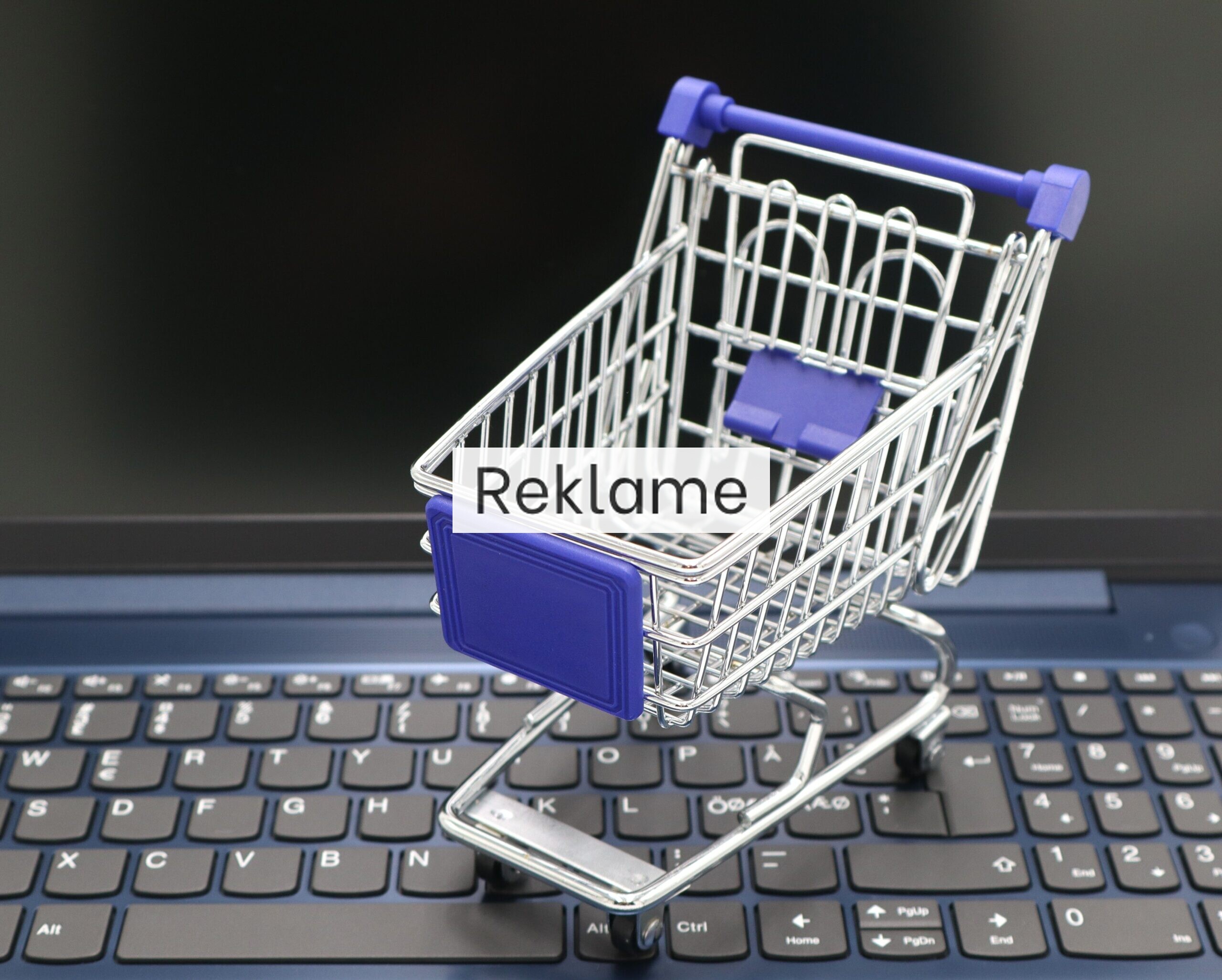 Robust hosting og digital infrastruktur: Grundstenen i moderne e-handel